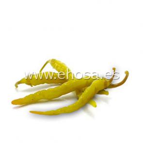 Referencia 2904